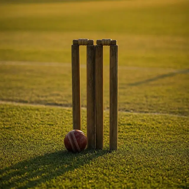 Illustration for Cricket