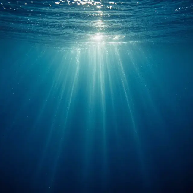 Illustration for Ocean