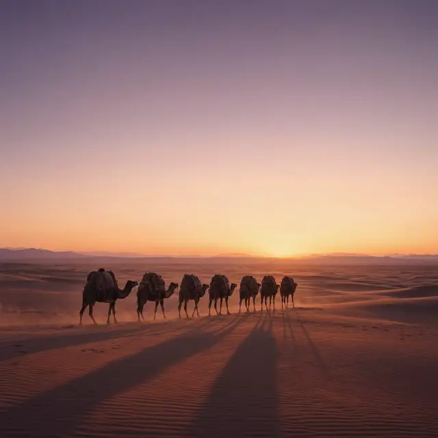 Illustration for The Silk Road
